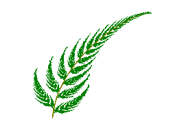 Fern Fractal